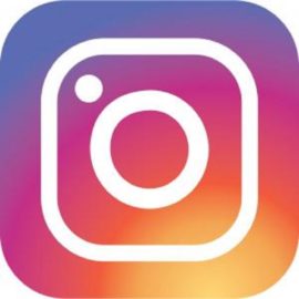 Découvrez le Rucher du Pillier sur Instagram