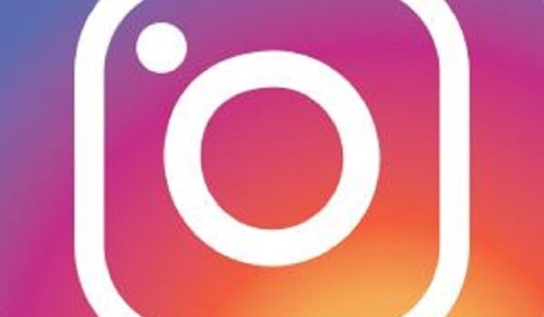 Découvrez le Rucher du Pillier sur Instagram
