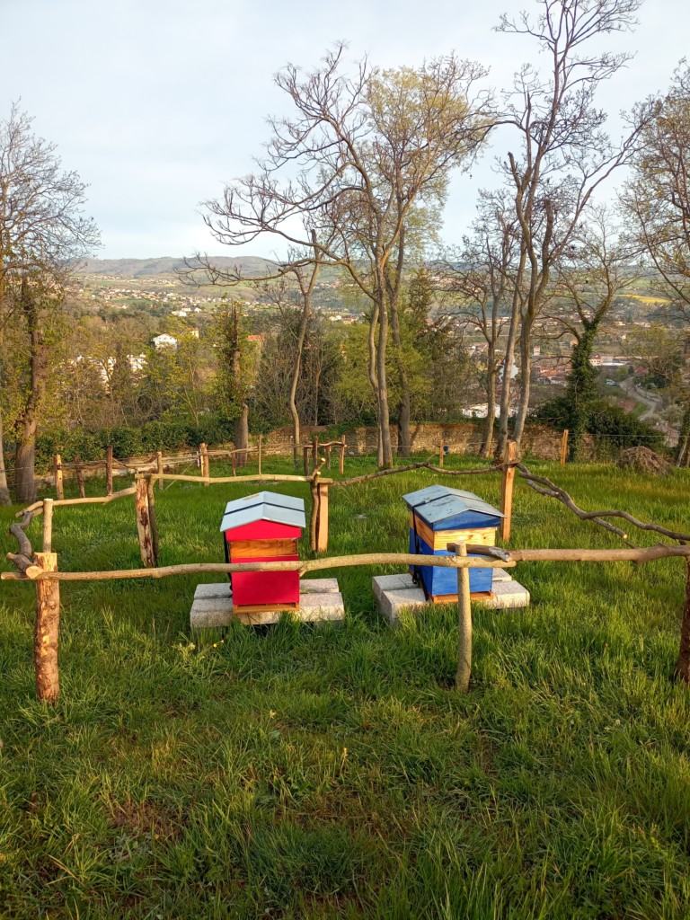 Débuter en apiculture : mes conseils d’apiculteur