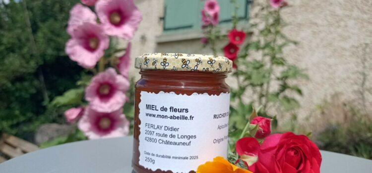 Miel ou gelée royale : quelles différences et comment les utiliser ?