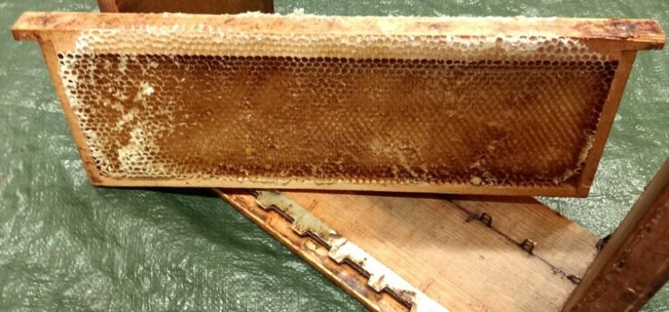 Cadre de Hausses Construit : Mon Guide Pratique