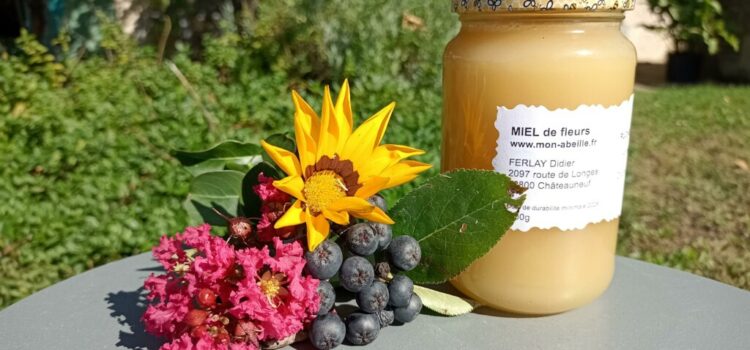 Miel de printemps du Rucher du Pillier