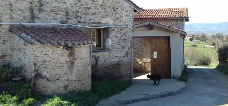 Miel local près de la Ferme des Pâquerettes