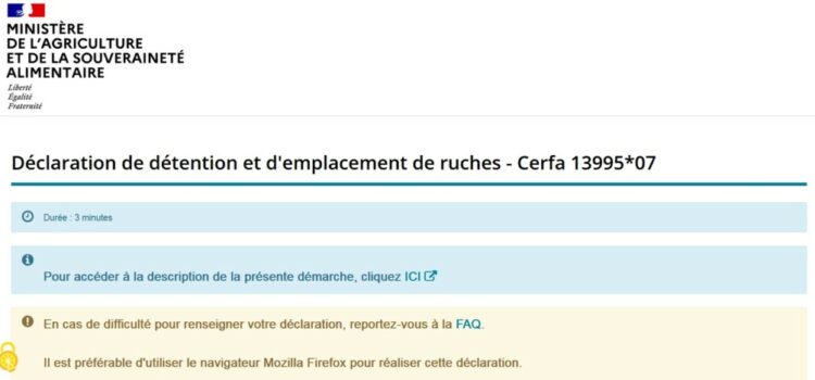 Déclaration annuelle de ruches : ce qu’il faut savoir
