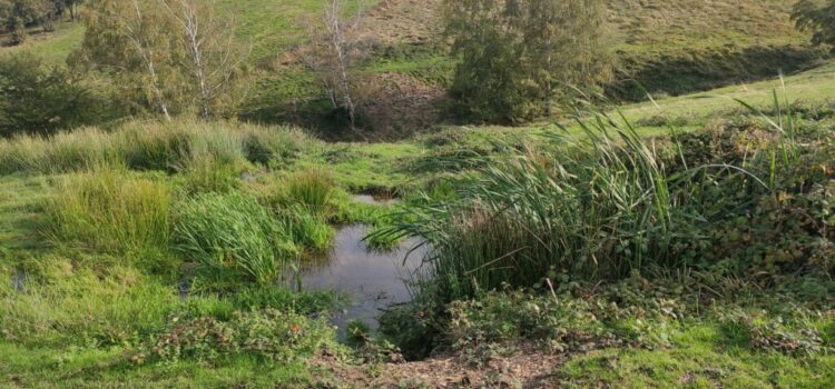 GAEC Du Moulin Des Chartreux : Le goût vrai du Pilat