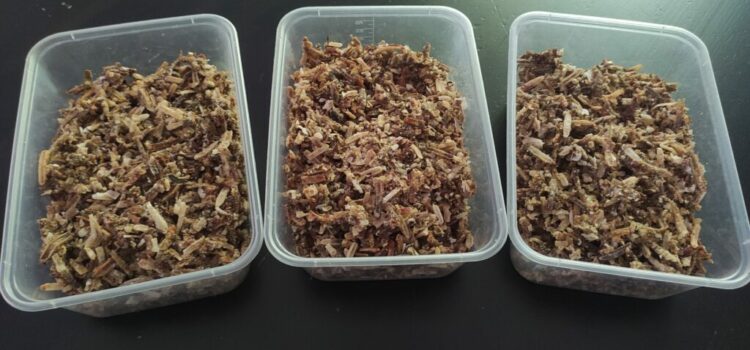 Propolis : un des six secrets des abeilles