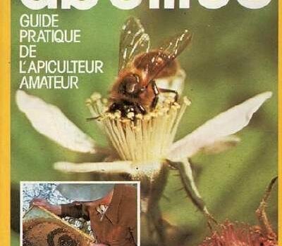 Les Abeilles de Benoît Laflèche