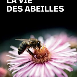 La Vie des abeilles de Maeterlinck