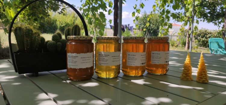 Miel Local, Histoire et Santé : documentaire ARTE