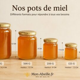 Quel format de pot de miel choisir ? Le guide du Rucher du Pillier